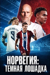 Норвегия: Темная лошадка