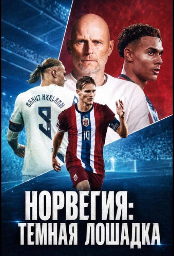 Норвегия: Темная лошадка